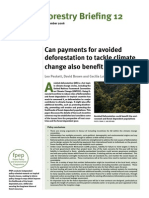 Can Payments for Avoided Deforestation to Tackle Climate Change Also Benefit the Poor