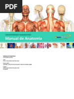 Manual Anatomia