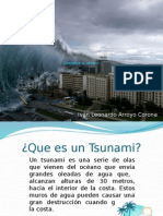 Tsunami en Accion