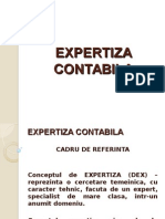 Expertiza Contabila Probleme - Notiuni Acces 2012 p1