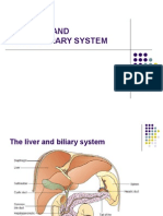 The Liver and Hepatobiliary System