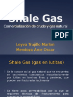 SHALE GAS