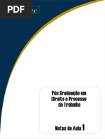 Notas de Aula - Contratos de Trabalho - Leandro Antunes