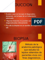 Biopsia