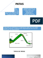 Patas y Alas Ppt