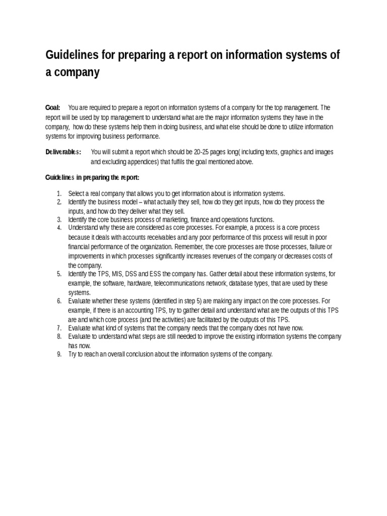 Guidelines For Preparing A Report On Information Systems of A Company | PDF