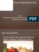 Nutrisi Untuk Penyembuhan