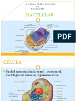 2fisiologia Celular