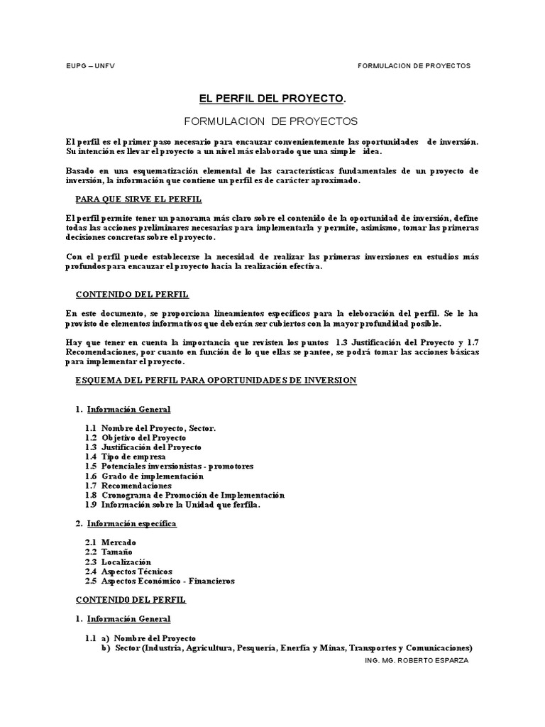 El Perfil Del Proyecto | PDF | Mercado (economía) | Consumo (economía)
