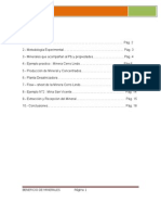 Informe Del Plomo Final