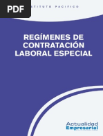 Contratacion Laboral Especial