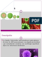 Calcivirus