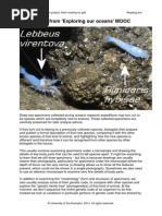 Type Specimens of Fossil Fishes - Catalogue of The - Bruner, John