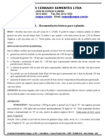 Girassol - Recomendações Básicas Para o Plantio - Ceapar Cerrado Sementes Ltda