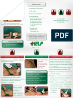 Triptico RCP