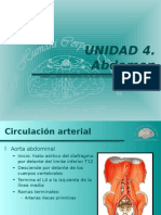 irrigacion de aorta toraxica