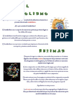 Monográficos El Metabolismo PDF