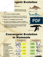 Powerpoint Patterns Evolution