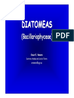 Diatomeas