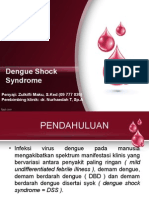 Dengue Shock Syndrome: Referat