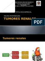Tumores Benignos Renales