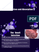 Final Digestion and Absorption: Chapter 11-3