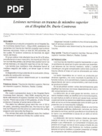 Art Lesiones Nerviosas