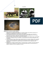 Animales en peligro de extincion.docx