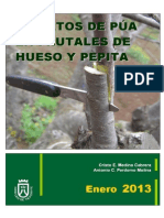 Injerto de Puas en Frutales de Hueso y Pepita - 2013 Frut_479