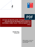 Informe Final Estudio Recopilacion Estadistica