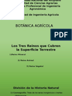 Botánica Agrícola, Raíz 2014
