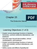 The Endocrine Glands