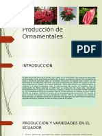 Producción de ornamentales ecuatorianas: rosas, gypsophila y orquídeas