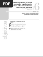 Aula 06 - O Modelo Brasileiro de Gestão nos Estudos Organizacionais