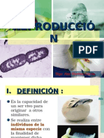 Reproduccion Ciclos Biologicos Vitales