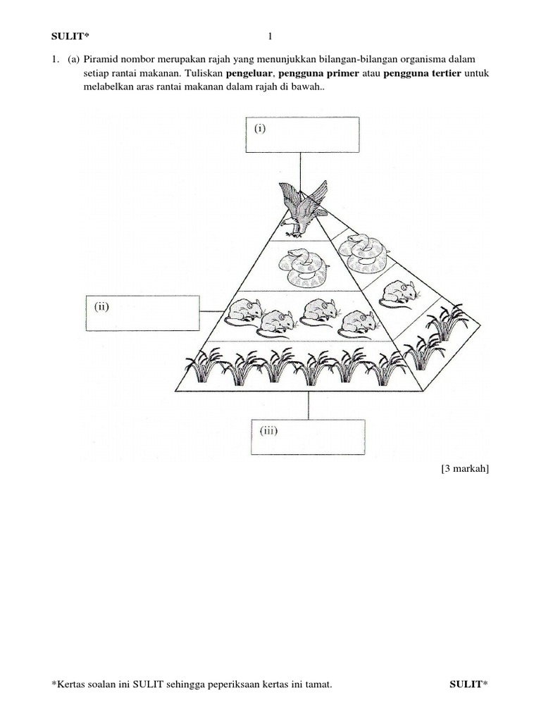 Contoh Soalan Kuiz Pandu Puteri - Viral Blog j