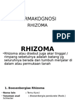 Rhizoma