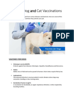 Essential Dog and Cat Vaccinations
