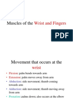 Muscles of The Wrist and Fingers DT PDF