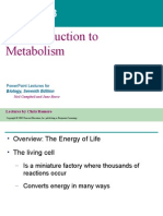 08- Metabolism Text