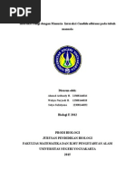Download Candida Albicans by ArifandyAhmad SN274175282 doc pdf