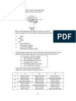 Human brain structure and functions