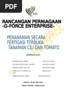 Panduan Asas Tanaman Cili Secara Fertigasi