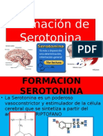 adrenalina-epinefrina-serotonina.pptx