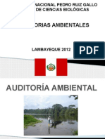 auditoriasambientales-120819011220-phpapp02