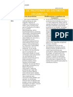 Tarea-Enfermedades y Síntesis de Proteínas