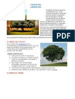 Árbol de La Quina