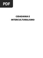 Cidadania e Interculturalismo T4
