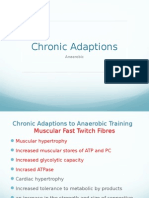 Chronic Adaptations To Training (Anaerobic)