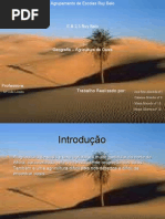 Powerpoint de geografia- agricultura de oásis